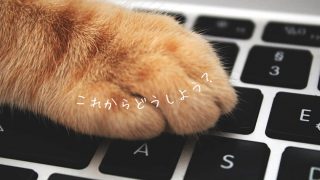 のら猫について